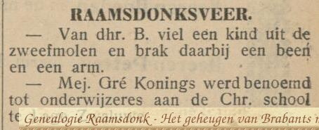 Nieuwsblad-het-land-van-Heusden-en-Altena-de-Langstraat-en-de-Bommelerwaard-3-juli-1931